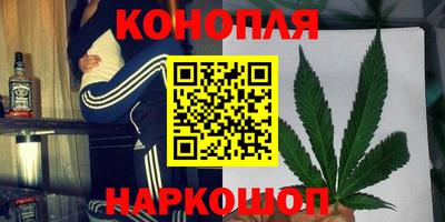 сатива Абинск